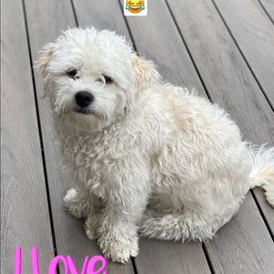 Meet your Posher, Sabrina